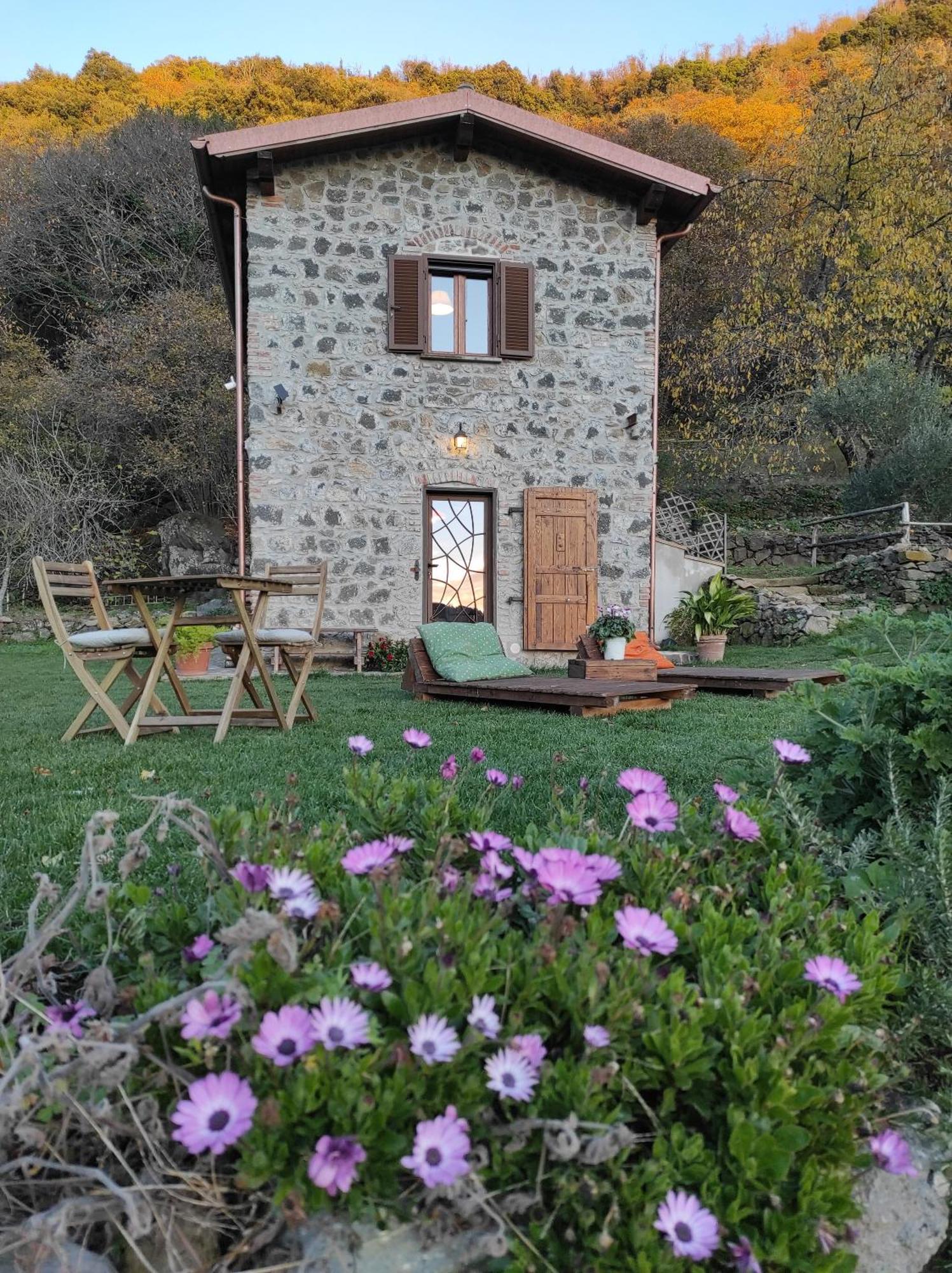 Vila Il Nemus Agriturismo Nemi Exteriér fotografie